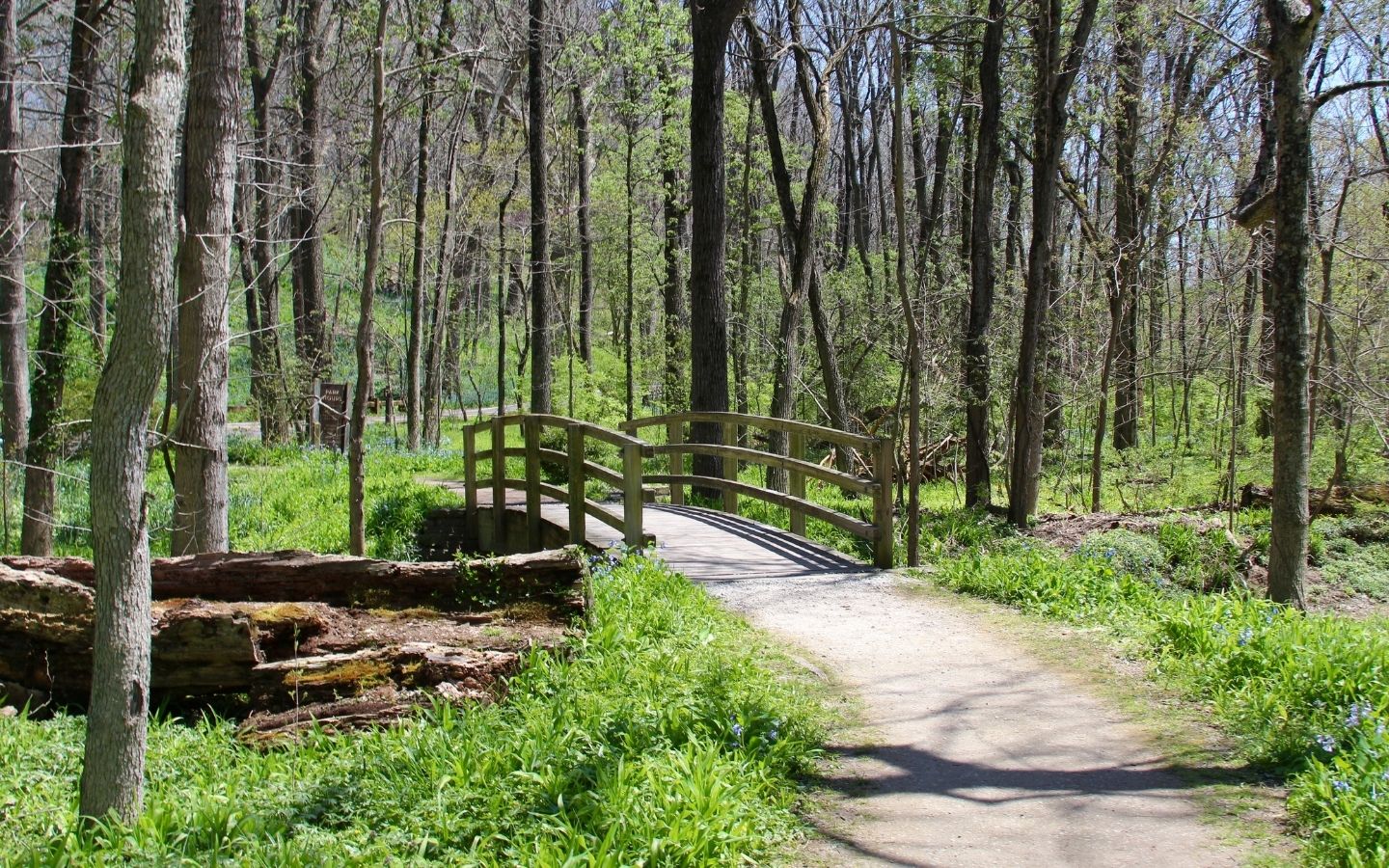 Hiking trail through the woods in the spring with bright green buds on the trees and a small walking bridge over a creek