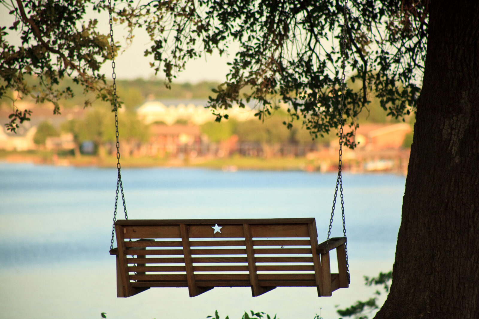 Tree swing overlooking lake. Relax on our beautiful grounds on Lake Granbury